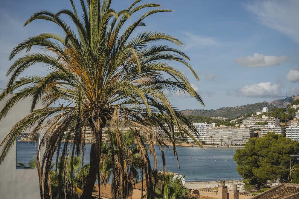 Extérieur Apartamentos Casa Vida Santa Ponsa Extérieur Apartamentos Casa Vida Santa Ponsa